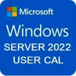 Microsoft WINDOWS SERVER 2022 - 10 USER CALS